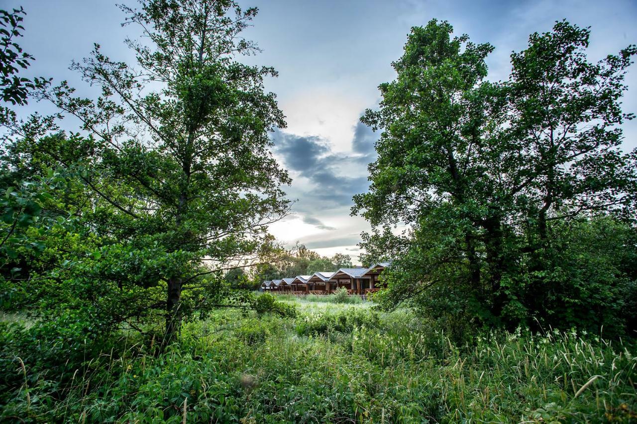 Blizej Natury Bialowieza Bagian luar foto